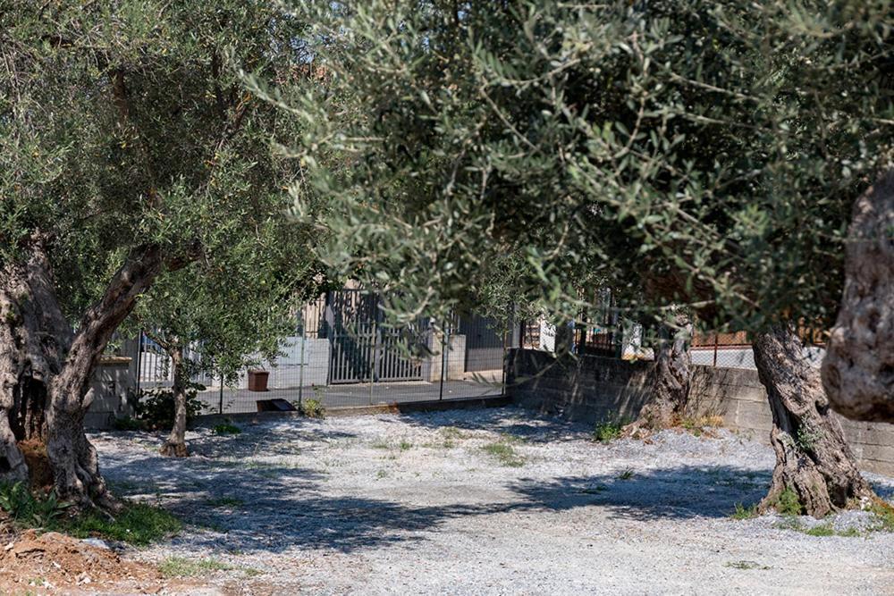 B&B Il Feudo Cirella Exterior photo